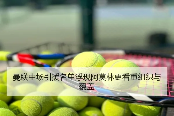 曼联中场引援名单浮现阿莫林更看重组织与覆盖